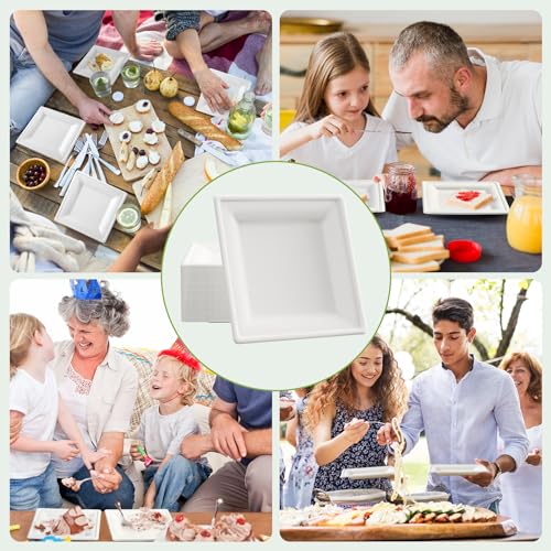 6 Inch Compostable Square Paper Plates - Eco-Friendly 300 Count Appetizer Plates