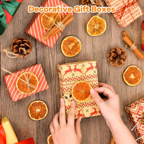 Christmas Dried Orange Slices Pine Cones Cinnamon Sticks Craft Set - 50 Pack