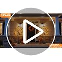 2 Pack 4ft Prelit Fall Maple Trees with Pumpkins & Acorns - Outdoor Indoor Decor