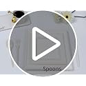 Disposable Compostable Paper Plates Set 300pcs - 10 Inch Eco-Friendly Dinnerware