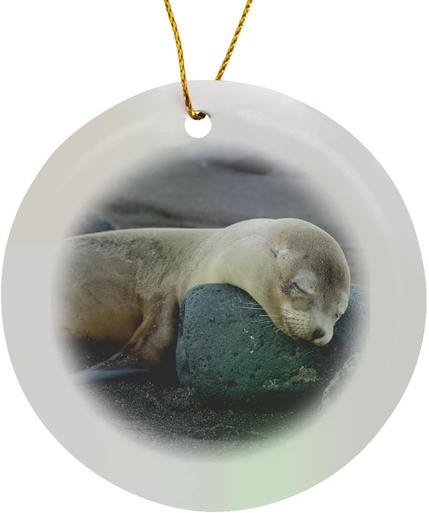 Galapagos Sea Lion Snowflake Ornament - 3DRose Ecuador Santiago Island Decor