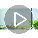 Black Window Privacy Film 35.4 Inch x 32.8 Feet Static Cling Sun Blocker