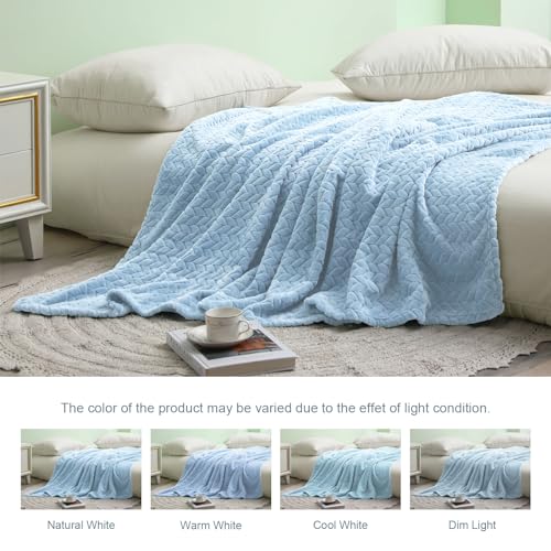 Exclusivo Mezcla Light Blue Fleece Queen Size Blanket for Bed, 90x90 Inches Soft Cozy Jacquard Flannel Blankets, Lightweight Fuzzy Plush Warm for All Seasons