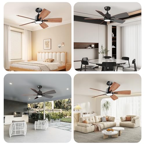 TALOYA 42 Inch Black Ceiling Fan with Lights Remote Control Dimmable Reversible DC Motor