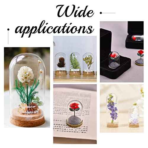 PH PandaHall 10pcs Cloche Bell Jar, Display Dome with Cork Base 8ml Mini Glass Bottles Dome Decorative Jars Display Case for Flower Storage Home Christmas Party Favor Decoration, 0.86x1.4inch