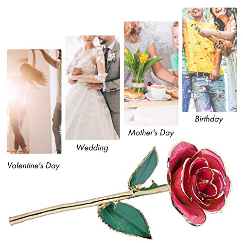 Pink Blooming Rose Gift - 24K Gold Dipped Real Rose for Mother’s Day, Valentine's, Christmas & Birthdays