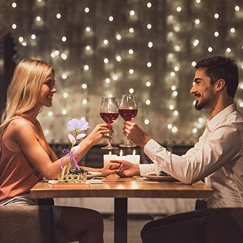 Double Couple Galaxy Forever Crystal Colorful Rose Flower with Love Stand Unique Rose Gifts for Mother's Day Wedding Anniversary Girl's Birthday Christmas and Valentine's Day (Multicolor)