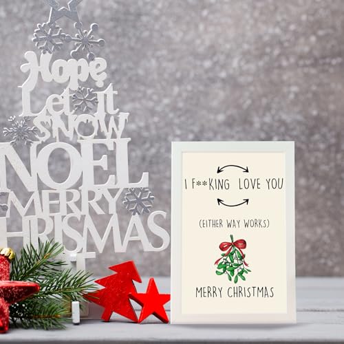 Missonemi Funny Christmas Card Gift for Women Men MS309, Naughty Holiday Greeting
