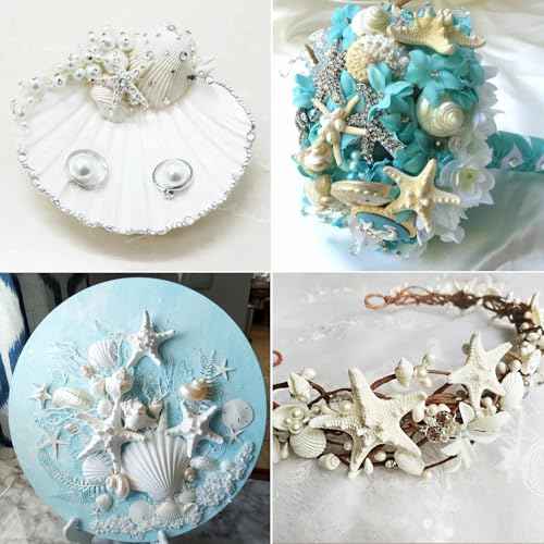 QEQEKAKA 15PCS Natural Starfish and Scallop Shells 2"-3" White Small Seashells & Starfish for Crafts & Shells Painting, Natural Beach Theme Wedding Party Decoration, Home Decor DIY Christmas Ornaments