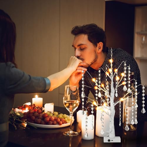 VIHOSE 6Pcs White Birch Tree LED Lights with 72 Acrylic Garland Strands