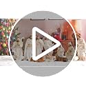 Ovewios 11-Piece White Nativity Set Figurines | Hand Resin Baby Jesus Holy Family Indoor Decor