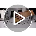 White 12oz Disposable Coffee Cups with Lids - 100 Pack