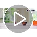 Disposable Clear Plastic Cups - 14 oz, 200 Pack, Perfect for Parties & Events