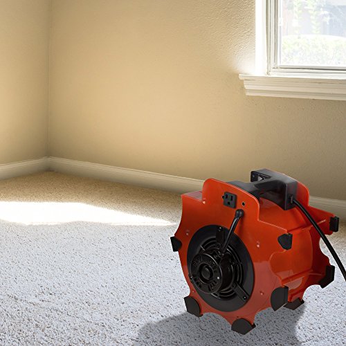 Heavy-Duty 3-Speed Floor & Carpet Dryer Fan - 1600W Portable Air Mover