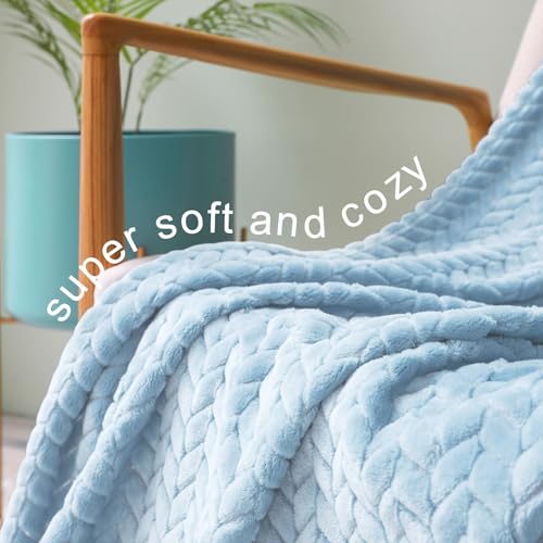 Exclusivo Mezcla Light Blue Fleece Queen Size Blanket for Bed, 90x90 Inches Soft Cozy Jacquard Flannel Blankets, Lightweight Fuzzy Plush Warm for All Seasons