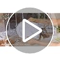 Gold Disposable Plastic Dinnerware Set for 25 Guests - 175 Pieces