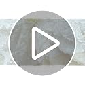 B-COOL 90x156 Inch White 3D Floral Rosette Satin Tablecloth – Rectangular