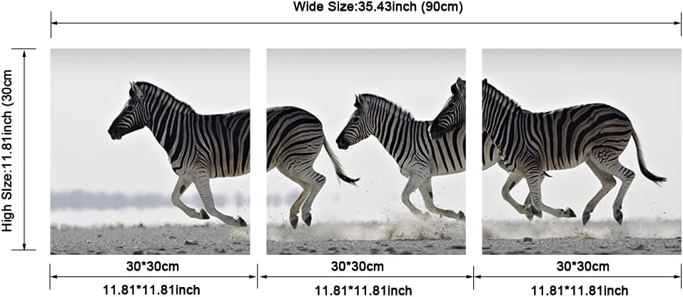 Zebra Canvas Prints Wall Art - Black & White Animal Paintings for Living Room, Bedroom, Bathroom - 3 Piece Stretched Artwork