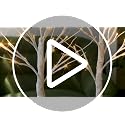 PABIPABI White Birch LED Tree Set of 4 with 24 Lights, 1ft 10in Each | Timer