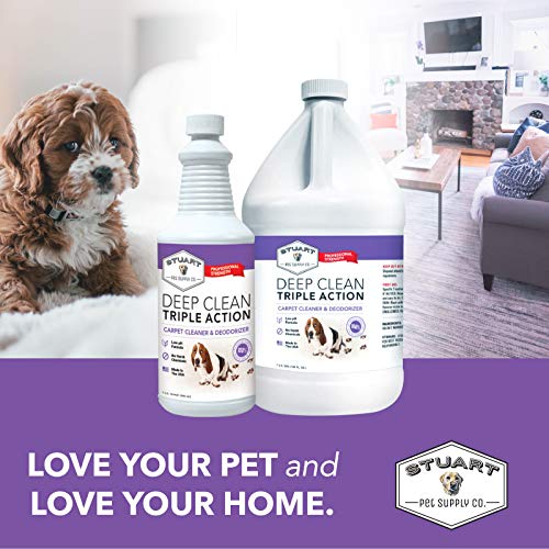 Deep Clean Carpet Cleaner Solution & Deodorizer - 128 Fl Oz - Concentrated Pet & Household Carpet Shampoo - Pack of 1