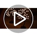 Nakolulu 18in Cherry Blossom Tree Light (4 Pack) USB/Battery Powered – 36 LEDs
