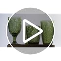 Green 16 oz Glass Drinking Set of 4 with Fern Texture - Dishwasher Safe