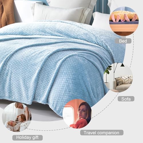 Exclusivo Mezcla Light Blue Fleece Queen Size Blanket for Bed, 90x90 Inches Soft Cozy Jacquard Flannel Blankets, Lightweight Fuzzy Plush Warm for All Seasons