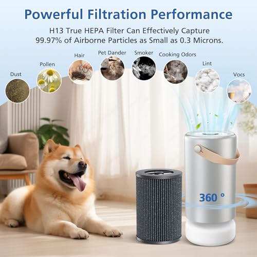 Air Pro Tri-Power Filter for Molekule Air Pro Air Purifier 1 Pack - Replacement HEPA & Activated Carbon Filter