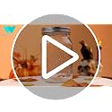 WELLIFE 32oz Wide Mouth Mason Jars 12 Pack for Canning Pickling Food Storage - Clear Variation