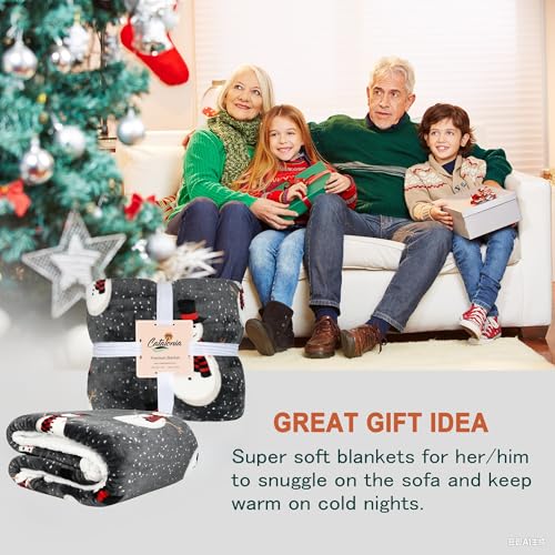 Catalonia Snowman Blanket, Holiday Theme Sherpa Fleece Throw, Blanket for Couch and Bed, Christmas Blanket | Super Soft, Comfy, Cozy, Fluffy, Warm | 50x60 inch, Grey