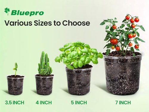 Bluepro Clear Nursery Pots - 30 Packs of Reinforced Plastic Plant Pots with Drainage Holes | 7/5/4 Inch Variety for Seedling Propagation