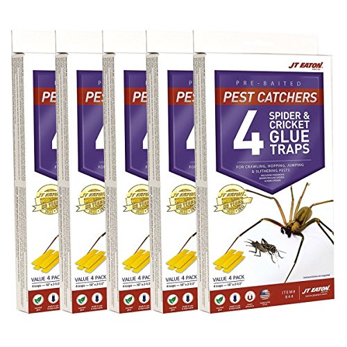 Spider and Cricket Glue Trap Pack of 5 - Non-Toxic Pest Control