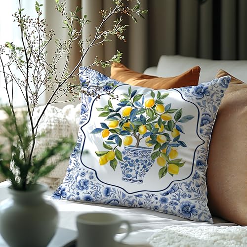 BUJSP Chinoiserie Lemon Double-Sided 18x18 Floral Pillow Cover - Seasonal Blue/White