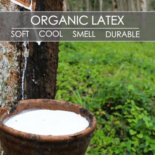 Queen Talalay Latex Pillow - Luxury Soft Natural Foam Bed Pillow for Side, Back & Stomach Sleepers - Breathable Cover (Mid Loft)