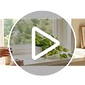 Artificial Pothos Plant with Ceramic Pot - Green Faux Trailing Ivy for Shelves