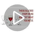 Small Wine Glasses Set of 6 - 8.5 Oz Thin Stem White Wine Glasses - Vikko