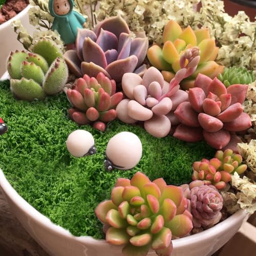 Artificial Green Moss for Christmas Potted Plants 5.3OZ for Crafts Preserved Fake Moss for DIY Decorative Table Centerpieces Fairy Garden Decor