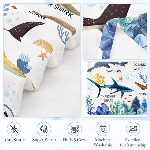 Shark Gifts Blanket for Boys Girls, Shark Blanket for Women Men, Ocean Educational Gifts for Kids, Fish Gifts for Women Men, Gifts for Christmas Thanksgiving 50x60in