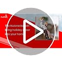 Ornativity Christmas Dog Mom Nutcracker 15" Decor Figure