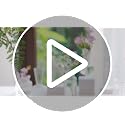 Mini Glass Vases for Centerpieces - Clear Bud Vase Set of 16, Small Flower Vases for Wedding & Home Decor - Hewory