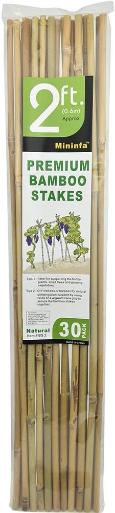 Mininfa Bamboo Garden Stakes - Eco-Friendly 2 Feet Plant Supports for Tomatoes, Trees & Beans | 30 Pack