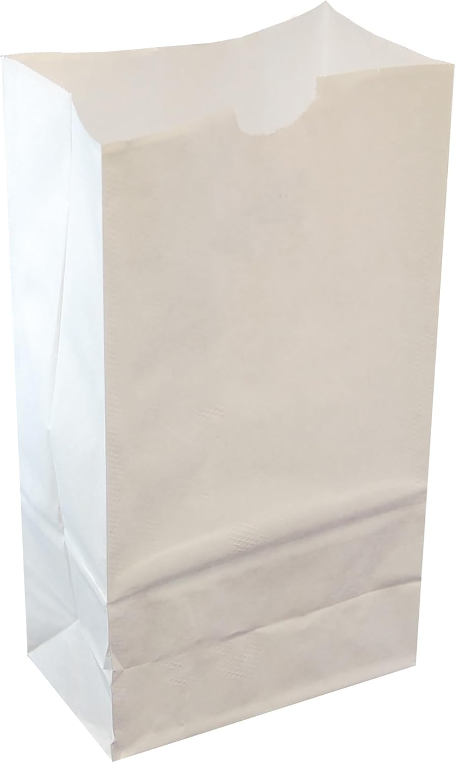 Gold LumaBase Paper Luminaria Bags - Set of 24 for Outdoor Decor