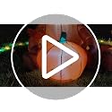 Fall Highland Cow Inflatable Decoration - 6 FT Outdoor Halloween & Autumn Yard Decor with Pumpkin & Welcome Sign - DomKom