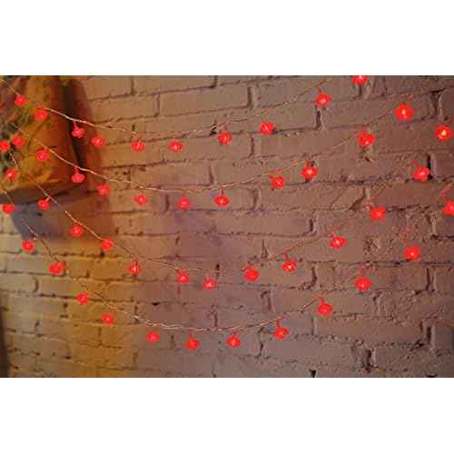 13ft/4M 40 LED Red Lanterns String Lights Battery Operated Fairy String Lights for Wedding, Chinese New Year,Spring Festival,Party Decoration,Christmas.