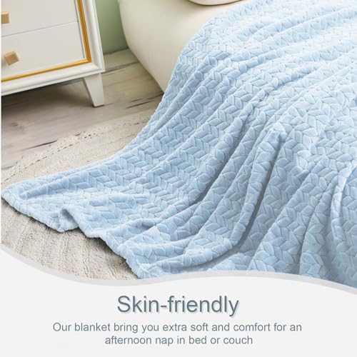 Exclusivo Mezcla Light Blue Fleece Queen Size Blanket for Bed, 90x90 Inches Soft Cozy Jacquard Flannel Blankets, Lightweight Fuzzy Plush Warm for All Seasons