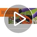 16-Inch Electric Hedge Trimmer with 3.0 Amp Motor, Lightweight & Dual-Action Blade