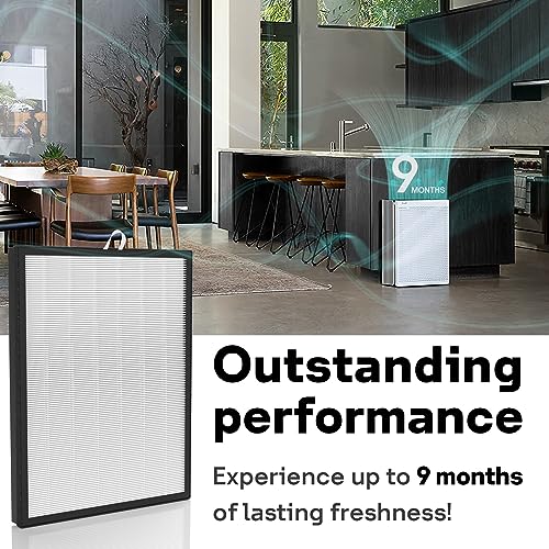 Air Purifier Replacement Filter 2 Pack for Levoit EverestAir-P - HEPA Carbon