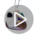Mallard Glass Ornament by Old World Christmas - Hand-Painted, 1800s Craft