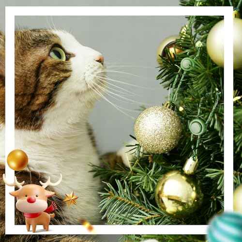 Christmas Ornament Guardian, Adjustable Ornament Hooks for Hanging Small Large Heavy Ornaments, Ornaments Hanger Hooks for Christmas Tree Hanging Holiday Ornaments (24)