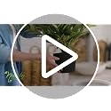 Nearly Natural 34 in Artificial Pothos Ivy Plant with Ledge Basket